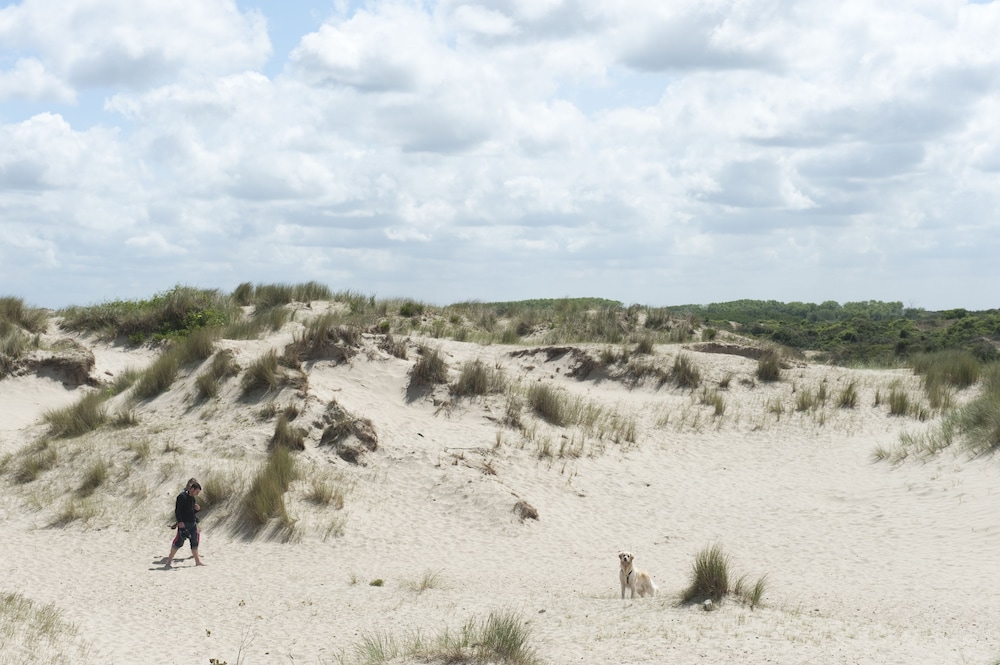 Evancy Etoile des Dunes