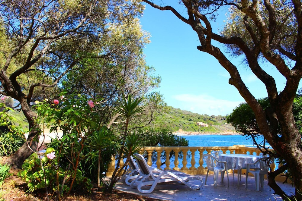 Photo 44