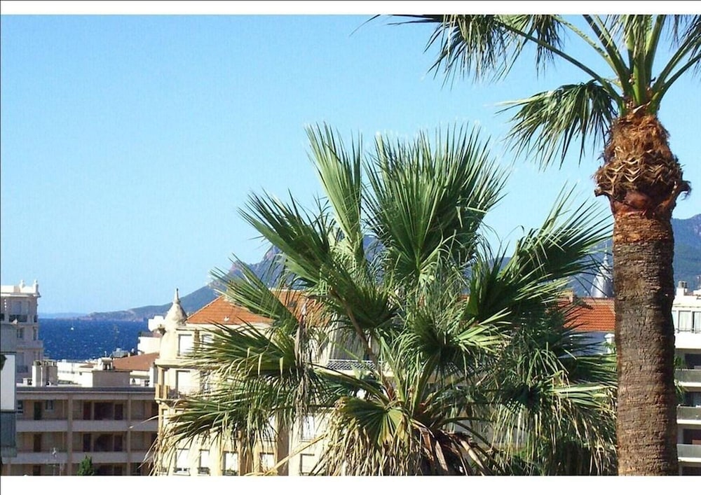 Charming 2 Bedroom apt in Central Cannes Walking Distance to Beaches Croisette and the Palais - 678