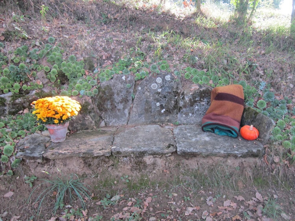 Photo 33