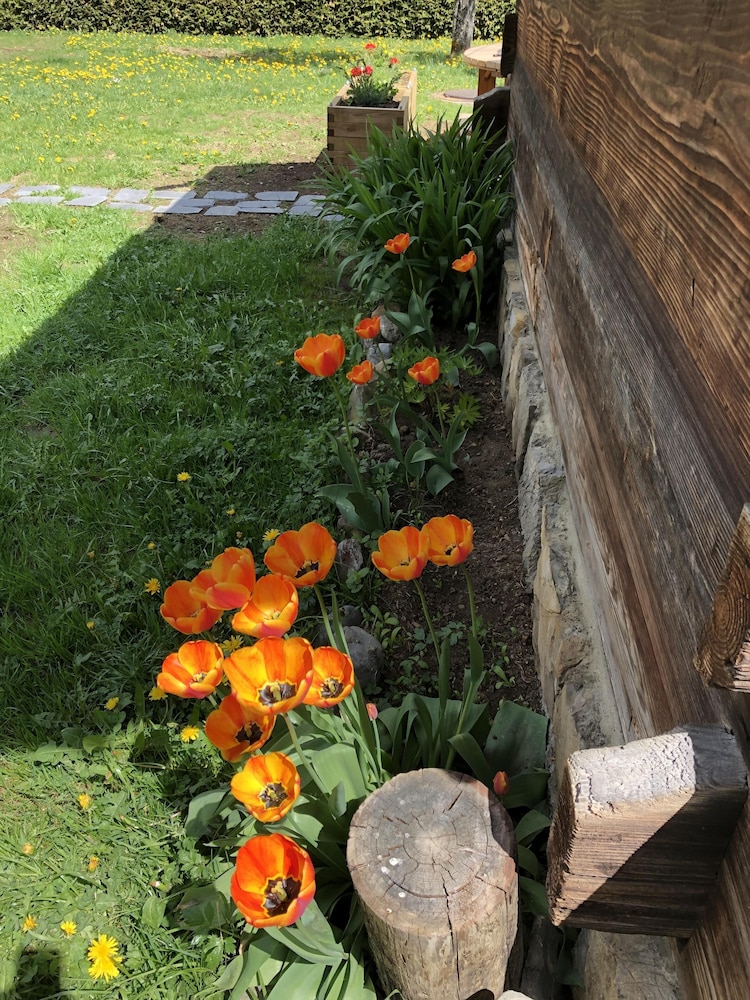 Photo 31