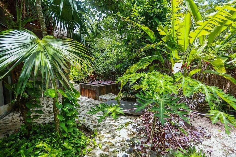 Casa Catarina Private House Near Bacalar Lagoon