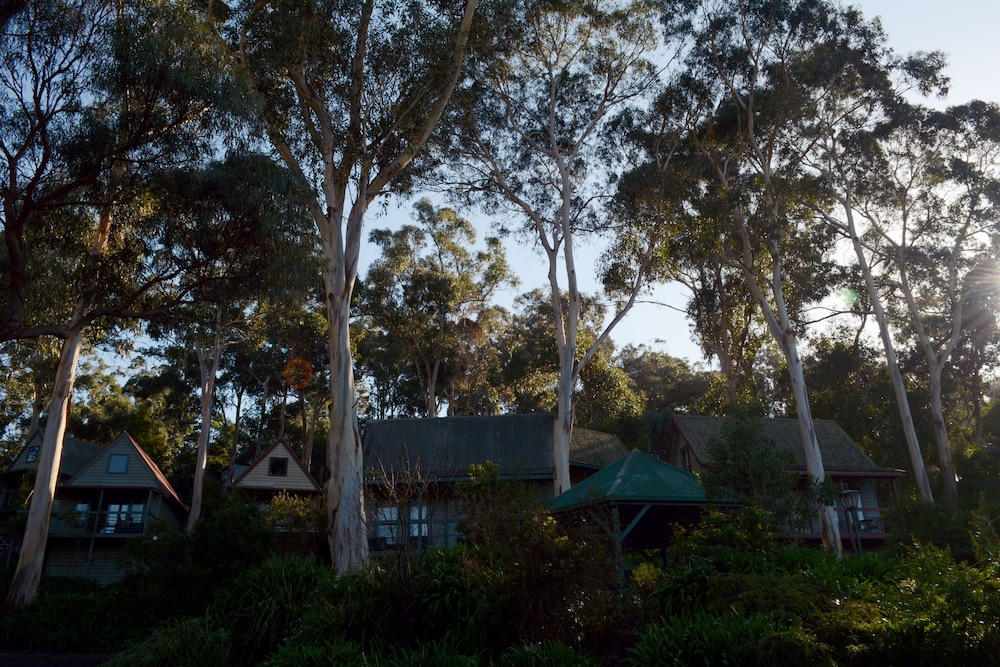 Great Ocean Road Cottages