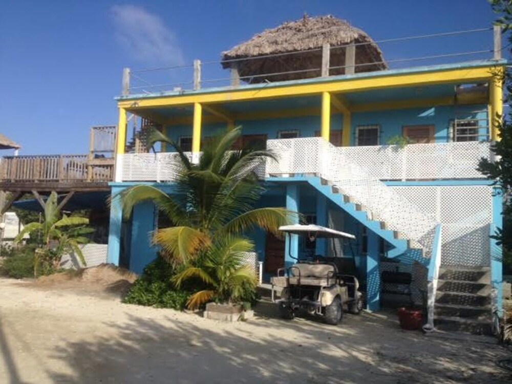 Trellis House 3