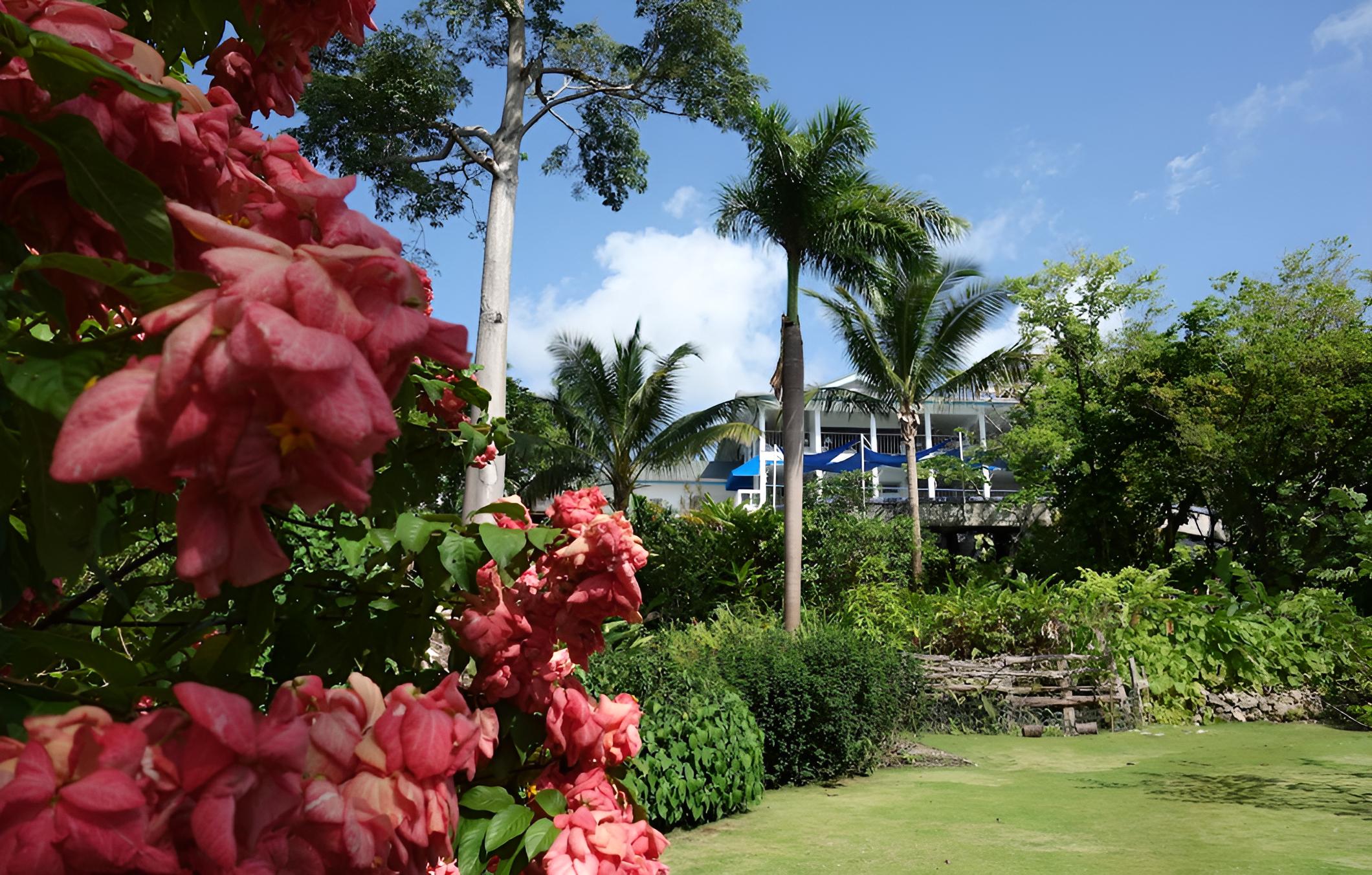Hotel Mocking Bird Hill - Property Image 1