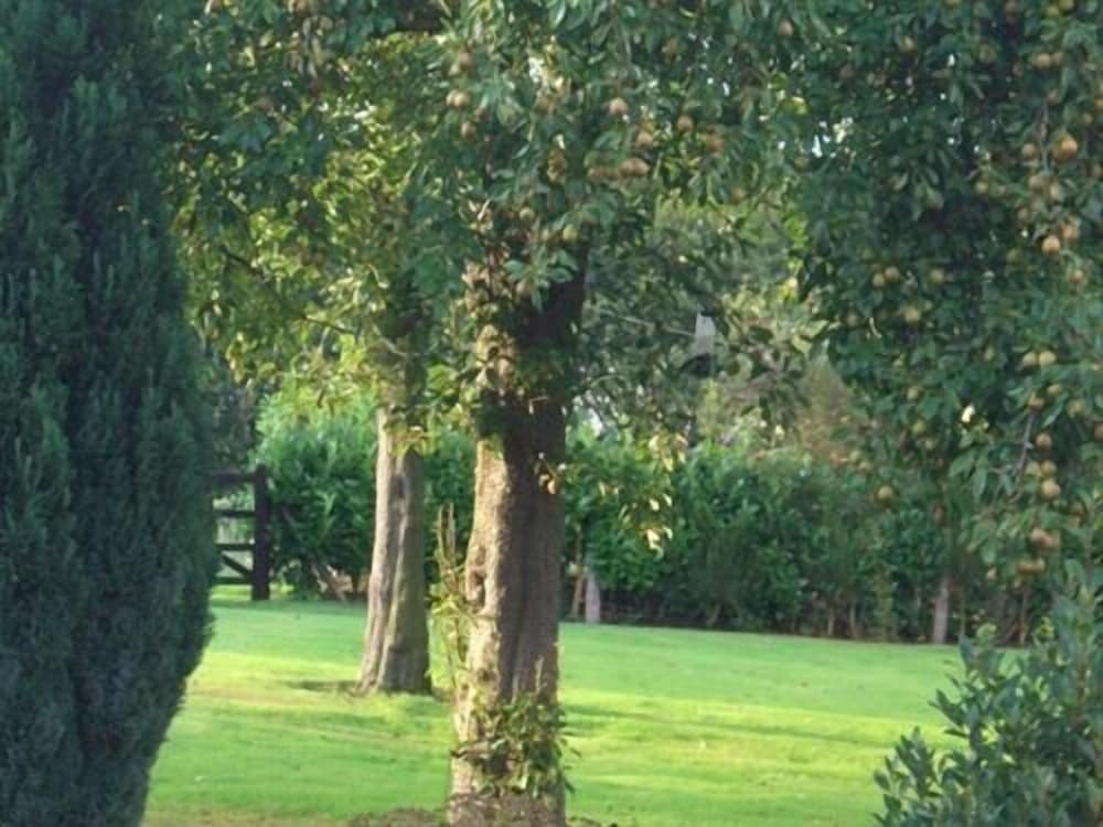 Altrincham Vacations - Ash Farm Country Guest House - Property Image 24