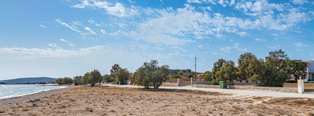 Photo 41