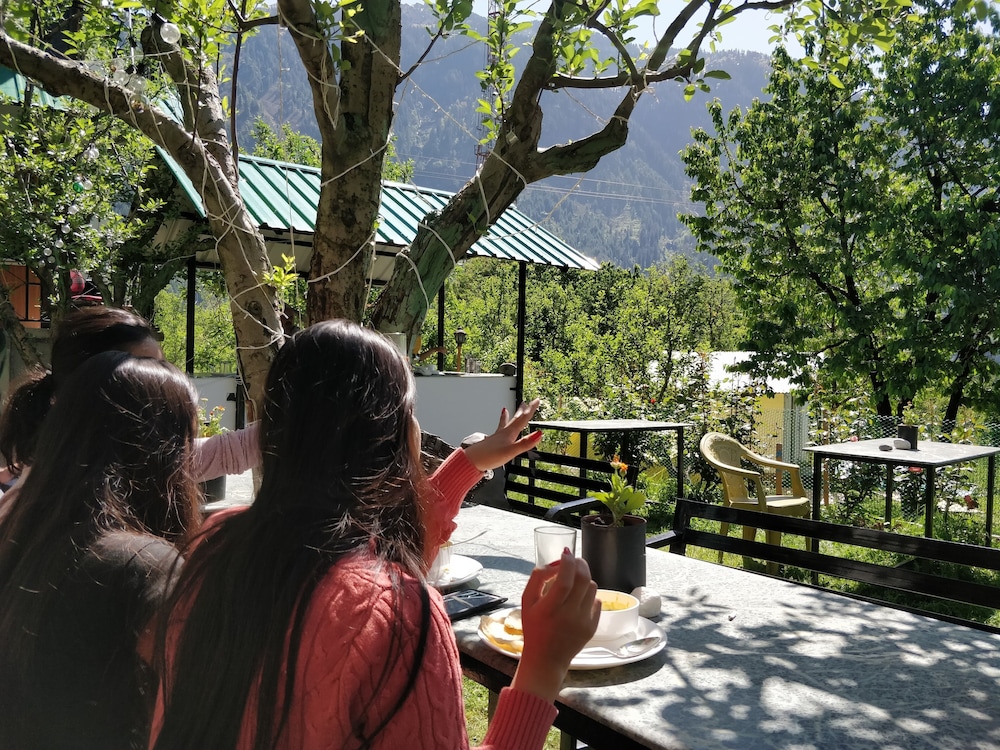 Madpackers Manali - Hostel view 3