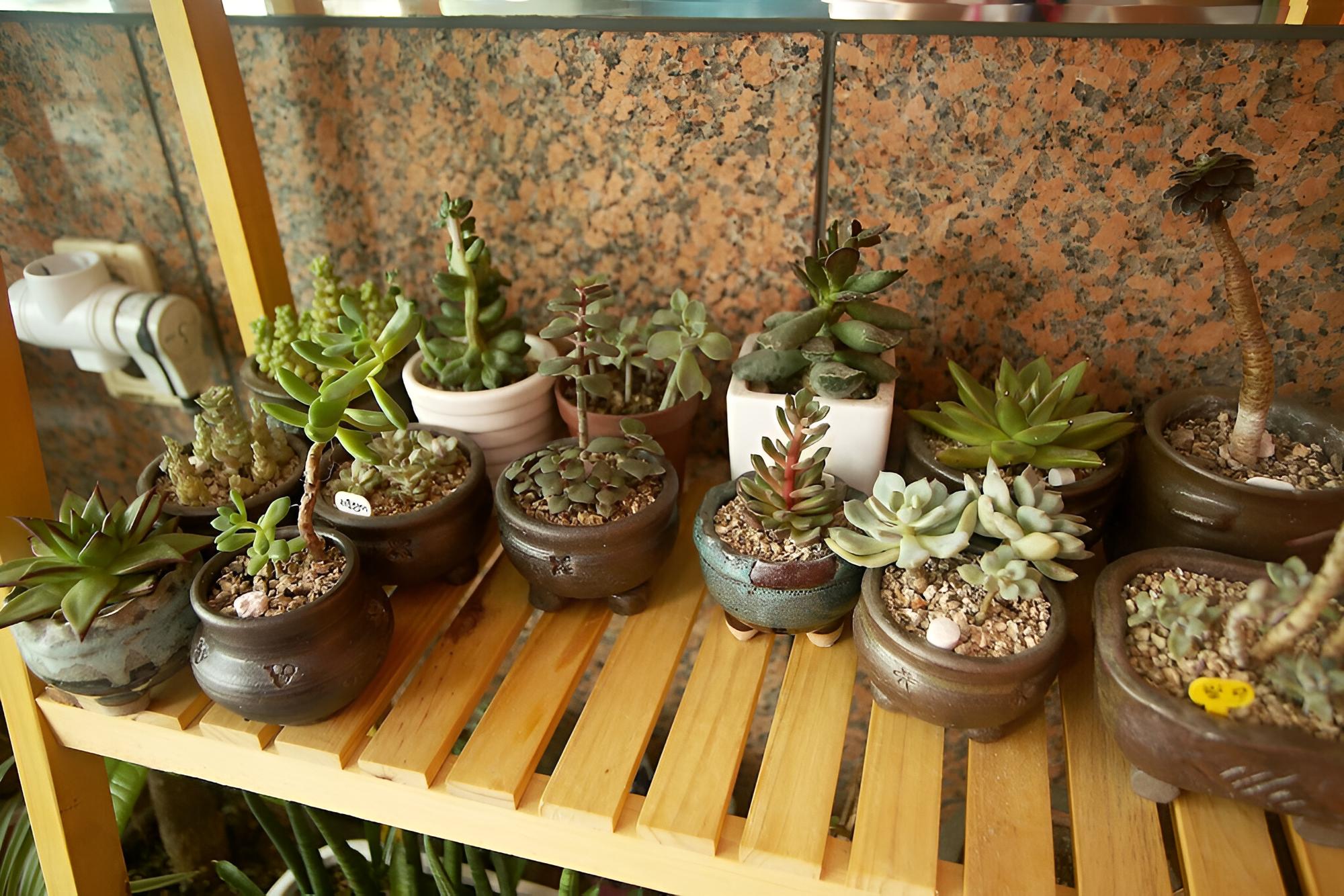 Photo 32