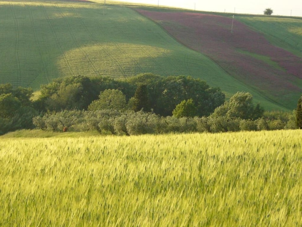 Agriturismo Fossederi