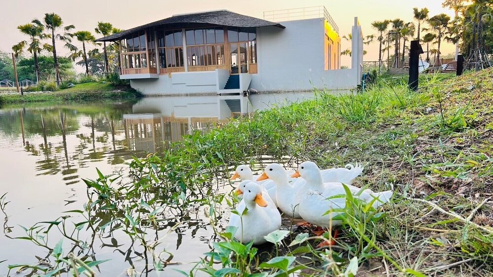 ThamMaChatPhan FARM