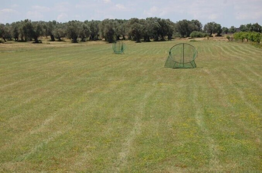 Scalilla - L'Agriturismo