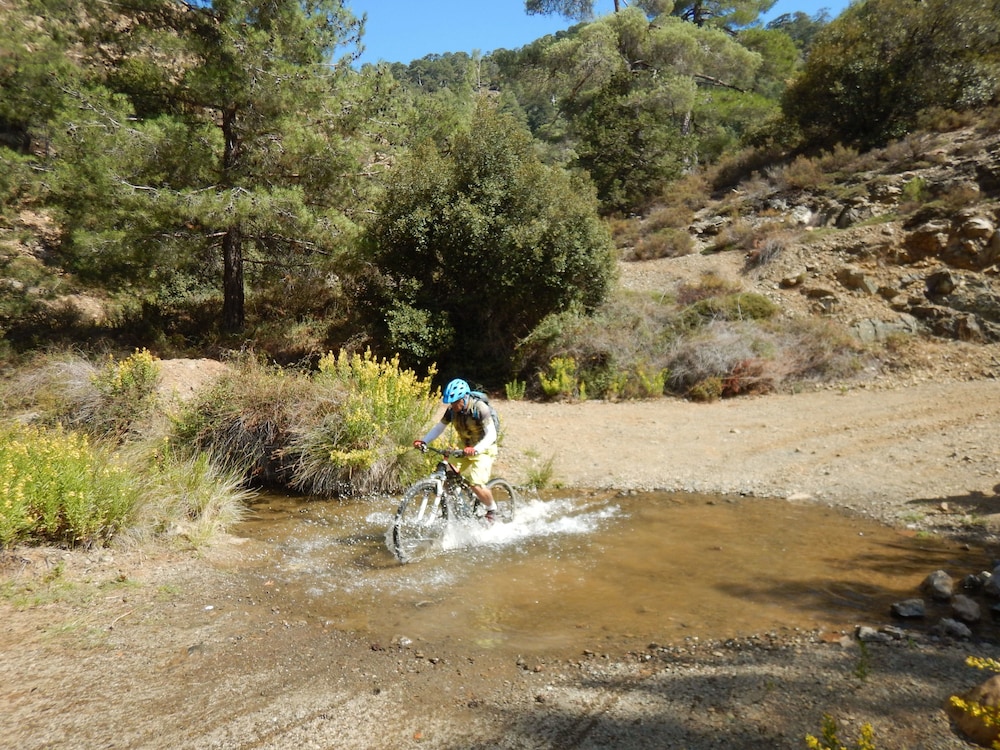 Photo 20