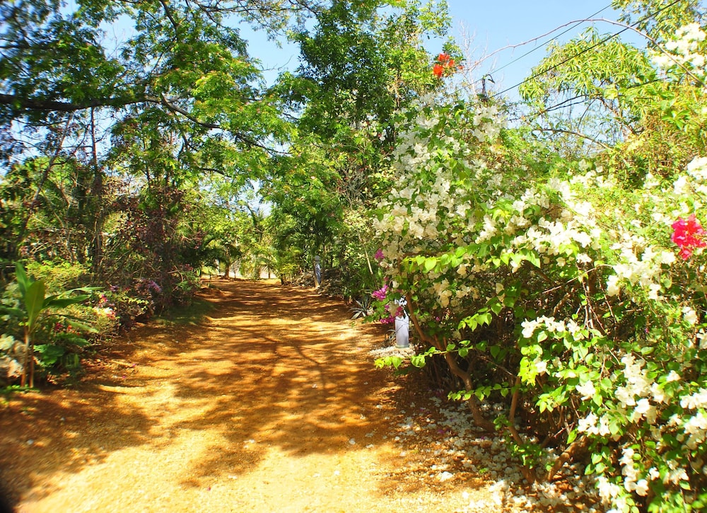 Photo 28