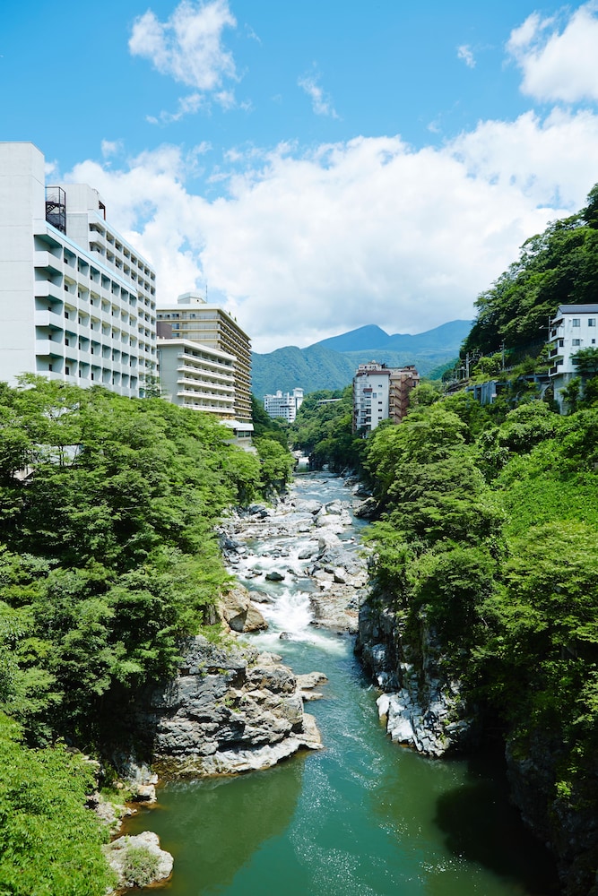 Kinugawa Onsen Hotel 76