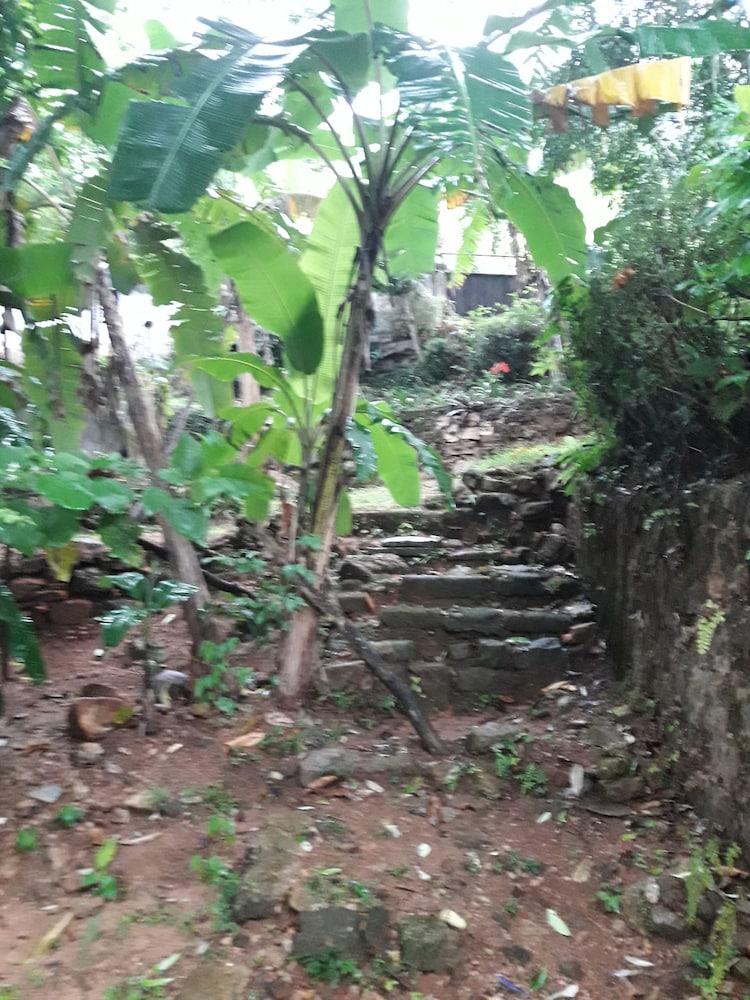 Ka Mario Guesthouse