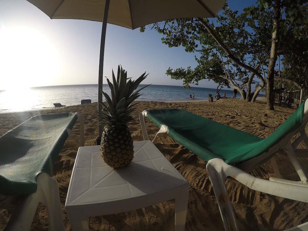 Afreeka Beach Hostel & Music Bar
