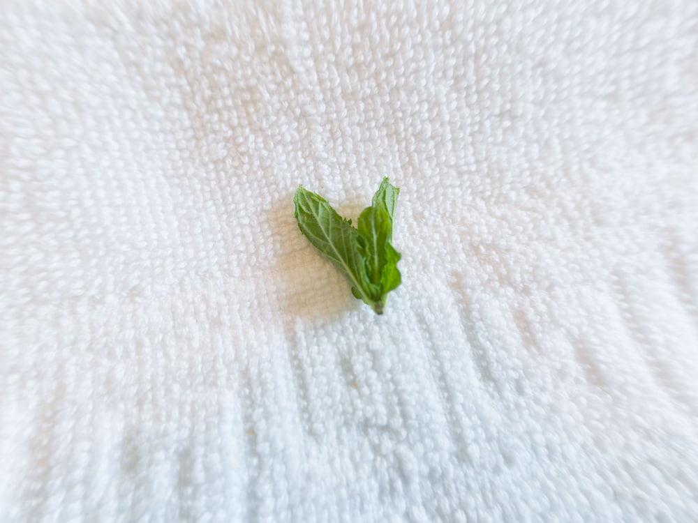 Kalinifta - Io Parto Io Arrivo photo 4