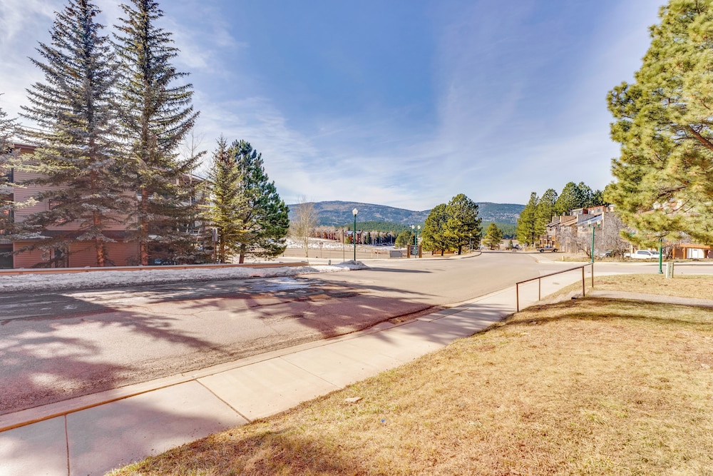 Mtn Bike, Hike & Disc Golf: Cozy Angel Fire Condo