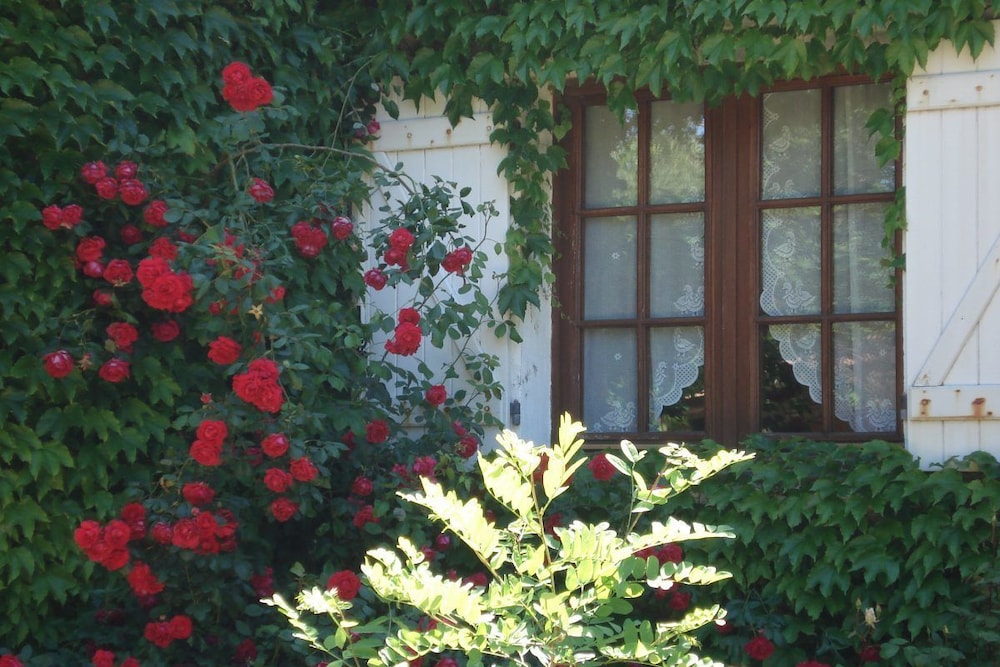 L'Hôte Antique