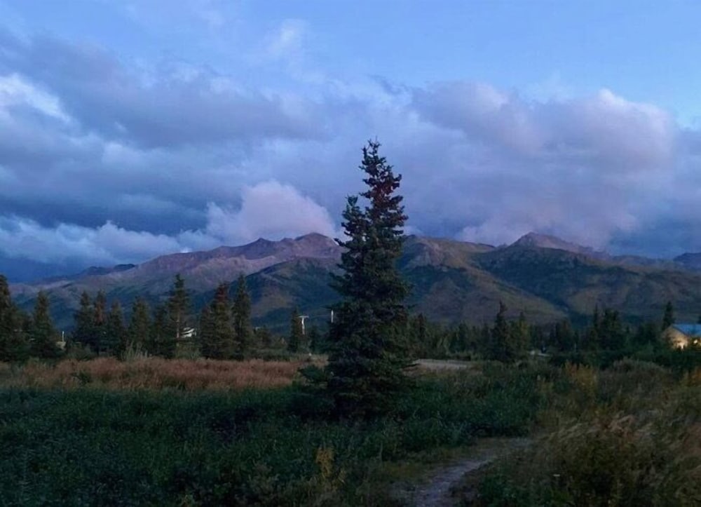 Denali Park Hotel