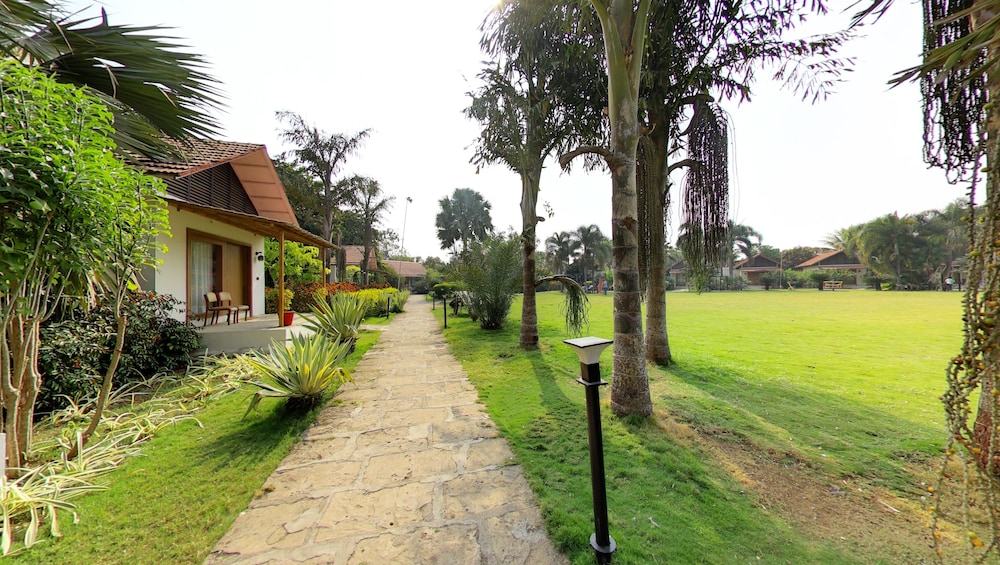 Photo 22