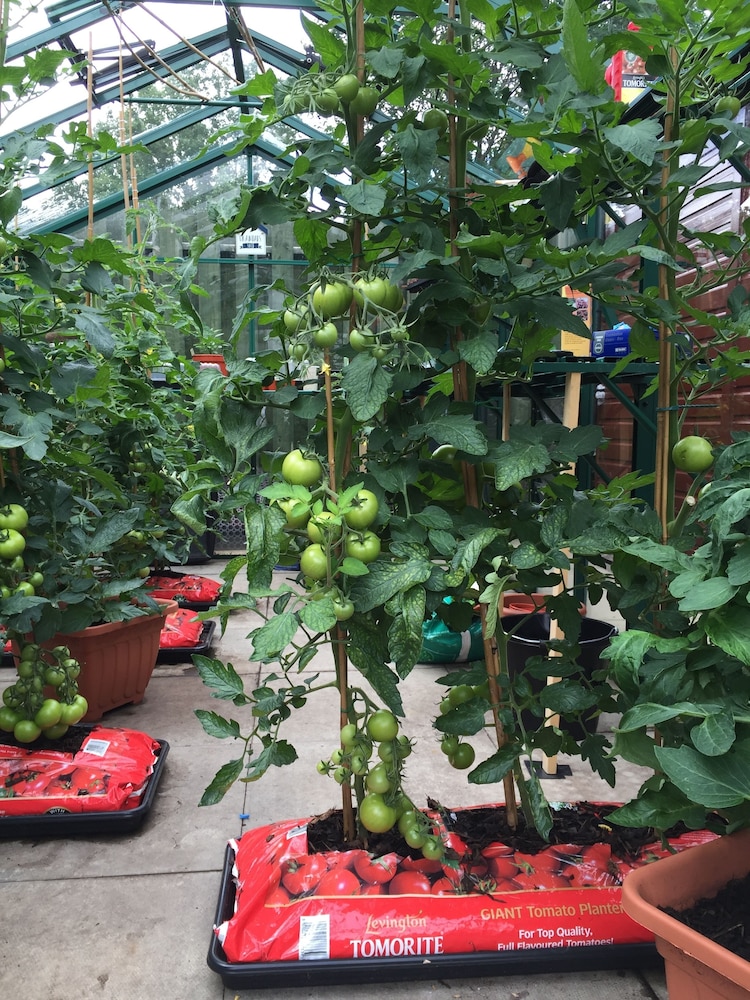 Oban Vacations - Kathmore Guest House - Property Image 10