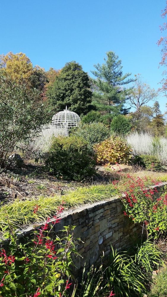 Stone Manor Boutique Inn - Property Image 19