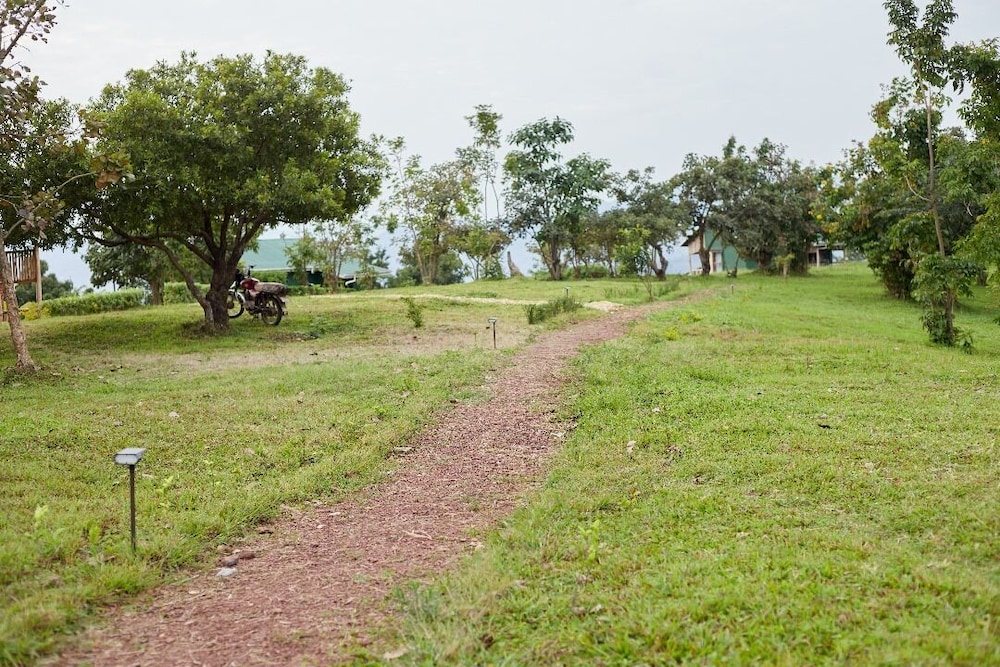ngirisi hill silverback lodge-bwindi