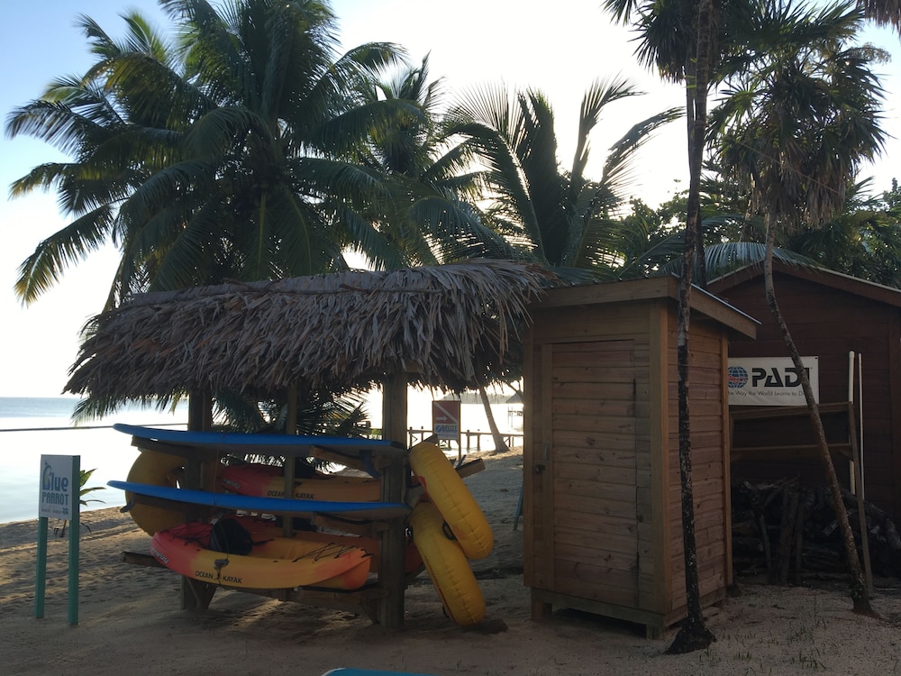 Blue Parrot Beach House