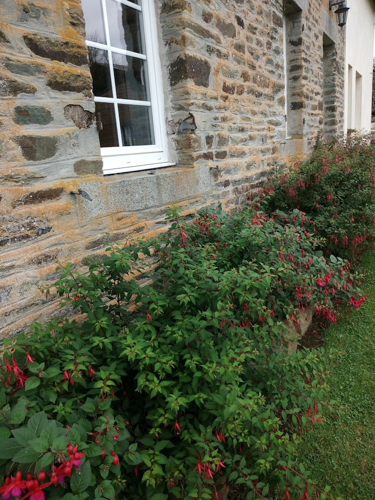 Photo 27