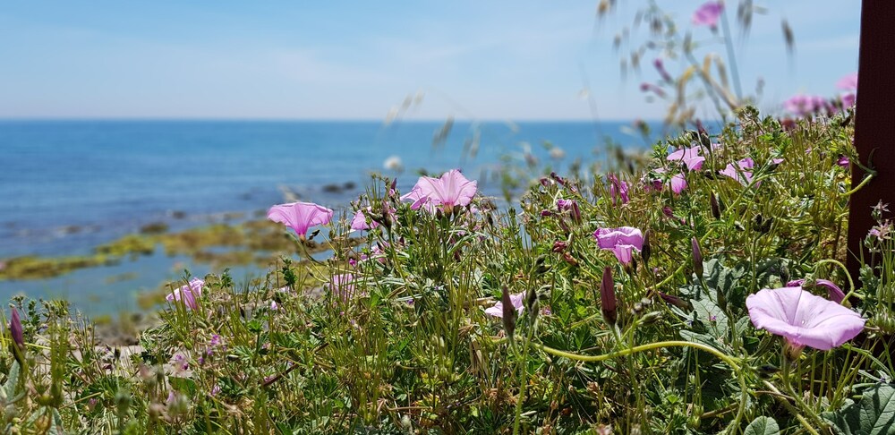 Exquisite Calahonda Beach Studio