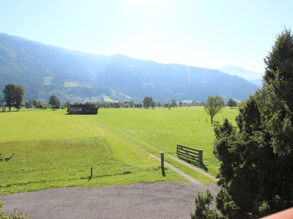 Photo 40