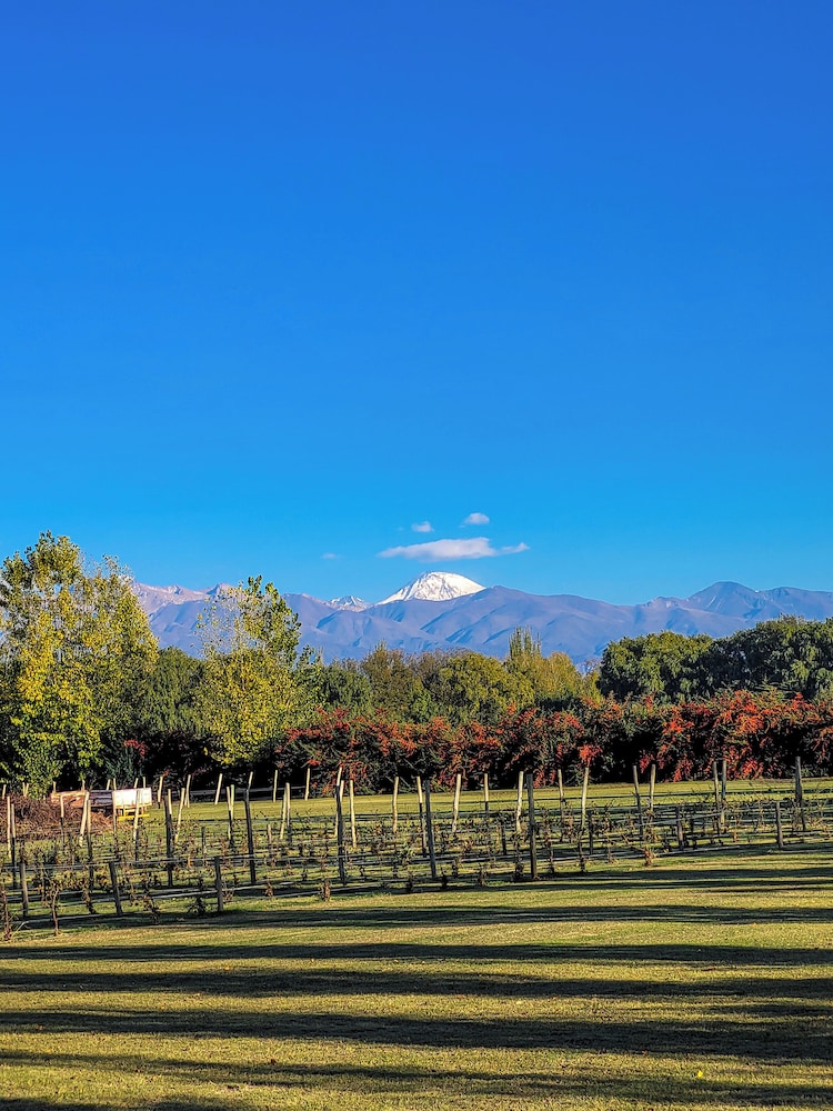 Finca La Saucina