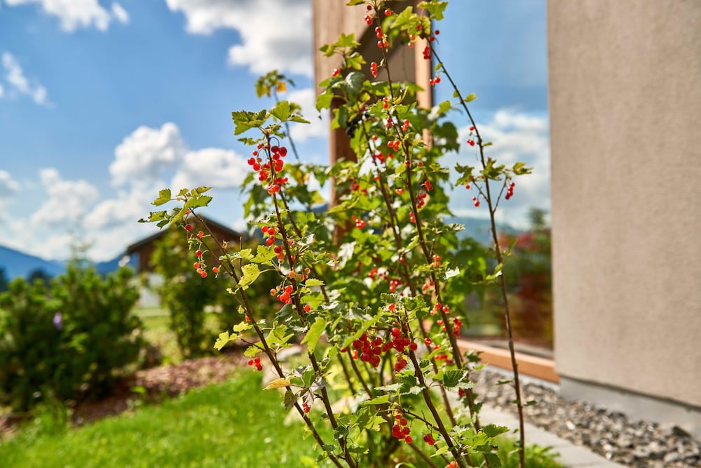 Gränobel Chalets
