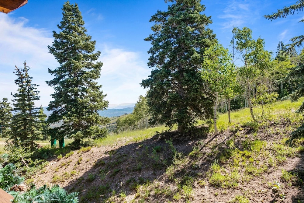 Stag Lodge at Deer Valley Resort - Four Bedroom Residence with Loft and Spa #29 4 Condo