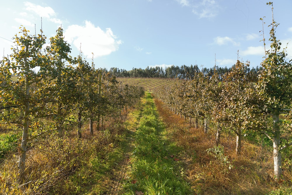 Quinta da Murnalha