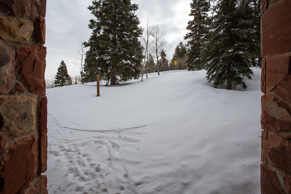 Stag Lodge at Deer Valley Resort - Four Bedroom Residence with Loft and Spa #29 4 Condo