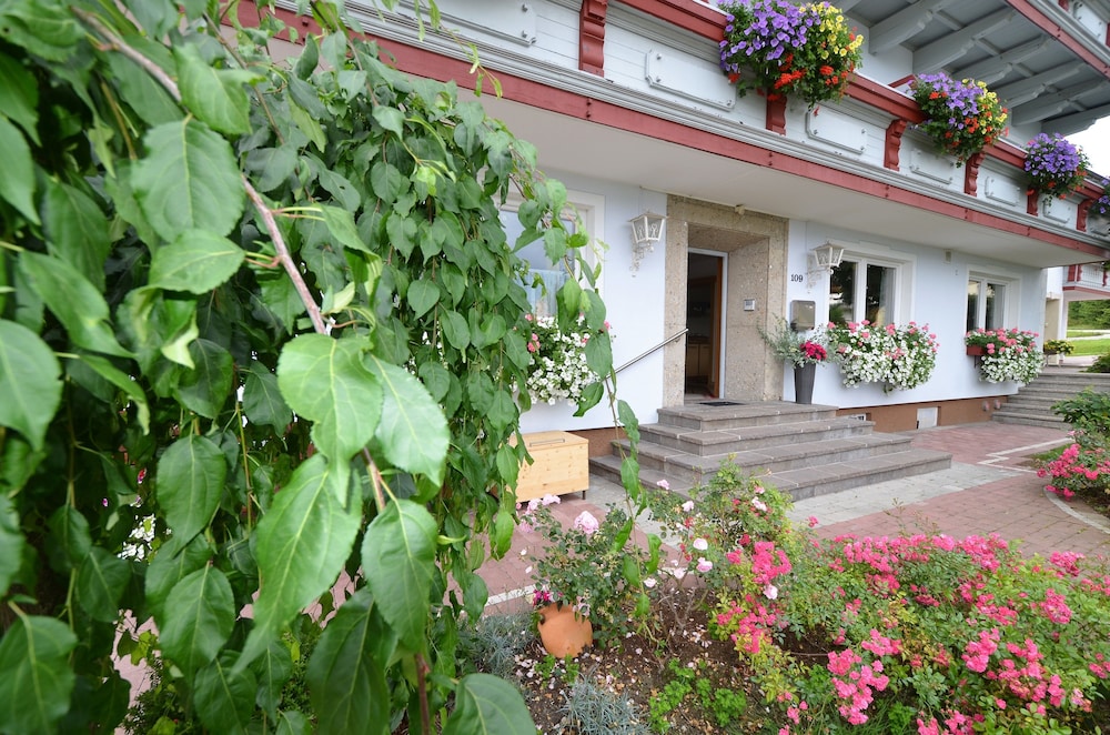 Photo 45