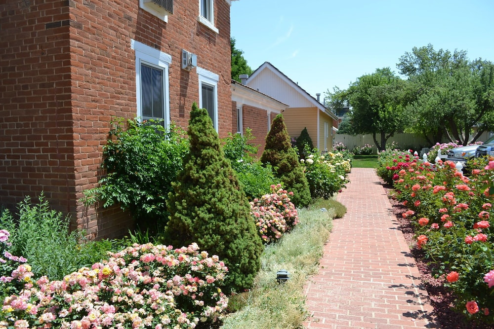 Photo 14