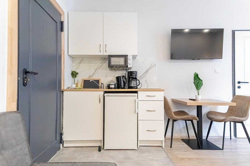 9BR Apts in the Heart of Vienna