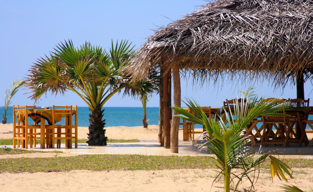 Palagama Beach