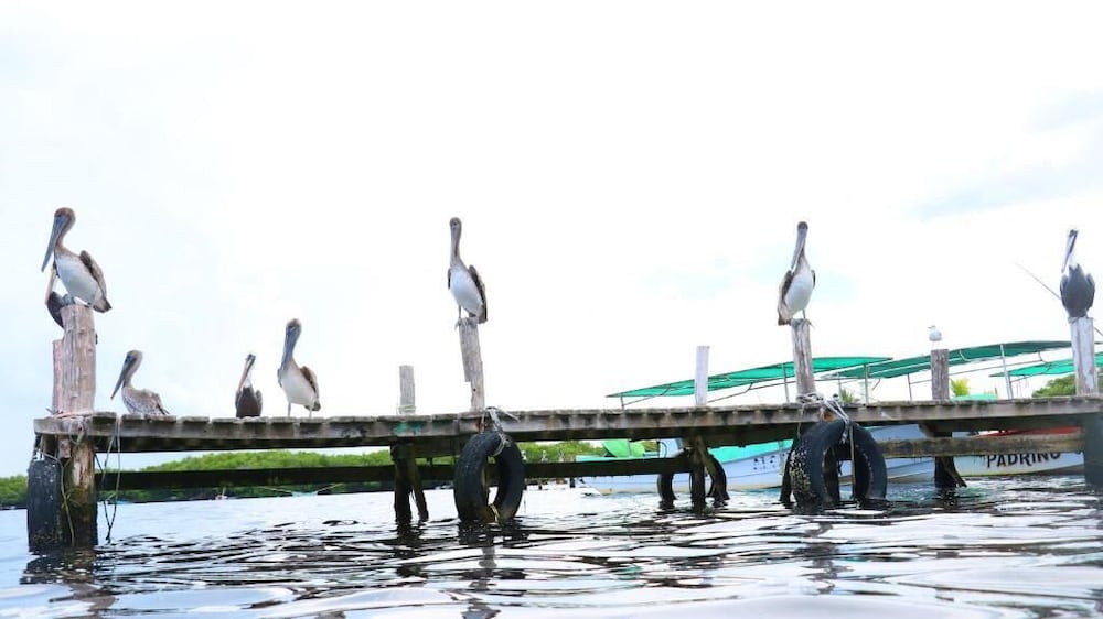 San Felipe Inn Yucatan - Property Image 19