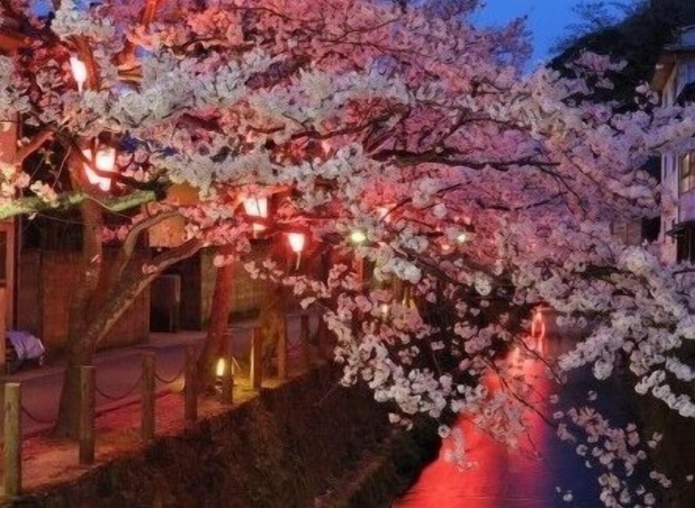 Kinosaki THE CRAB HOUSE KANIAN