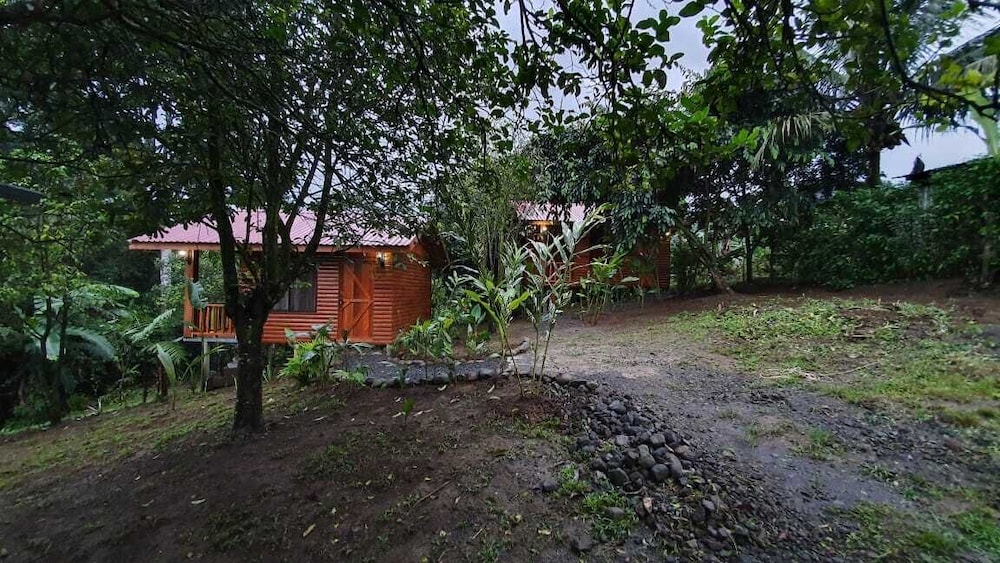 Photo 22