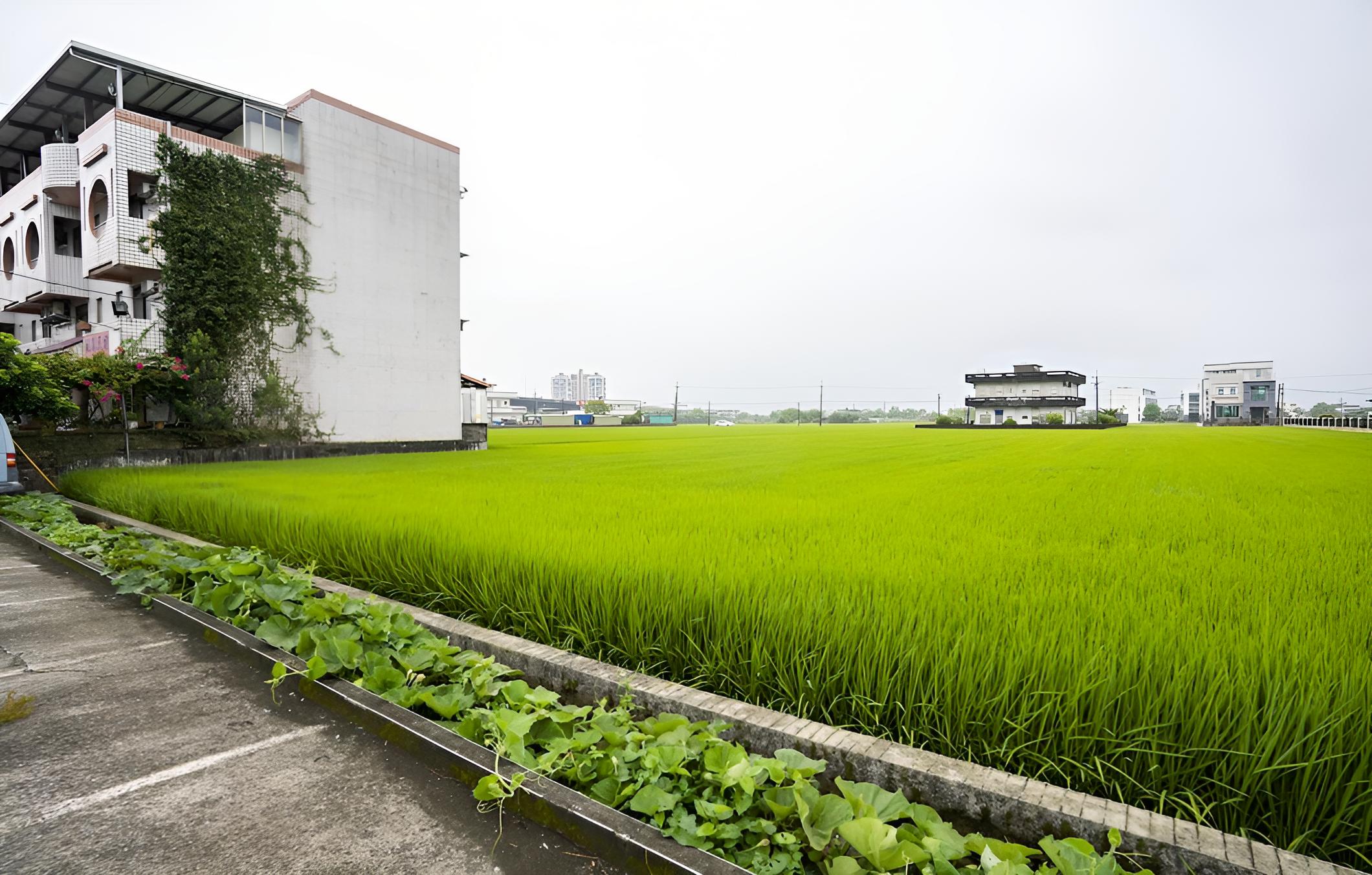 Fu Yen Homestay B&B view 5