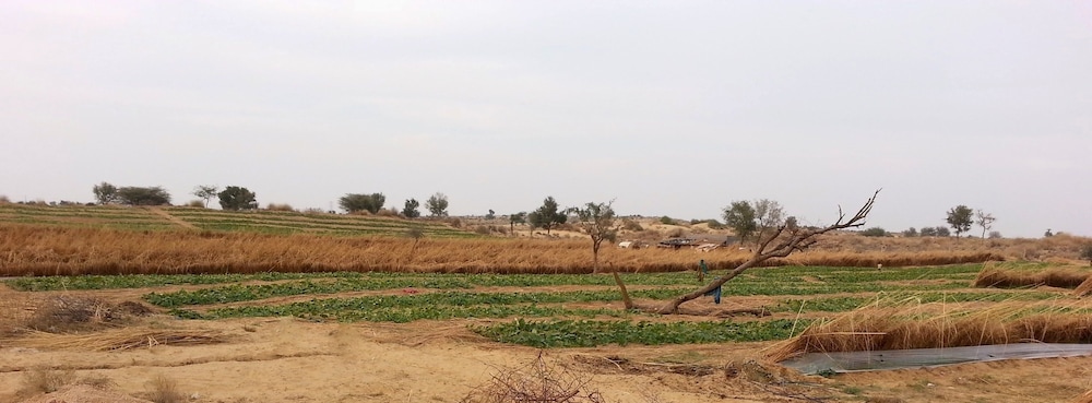 Umaid Safaris & Desert Lodge