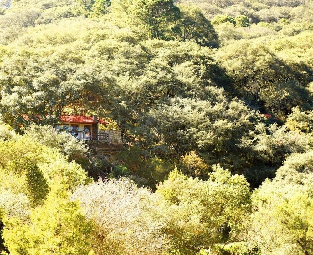 Hotel Cabaña El Encino II en Real del Monte - Image 1