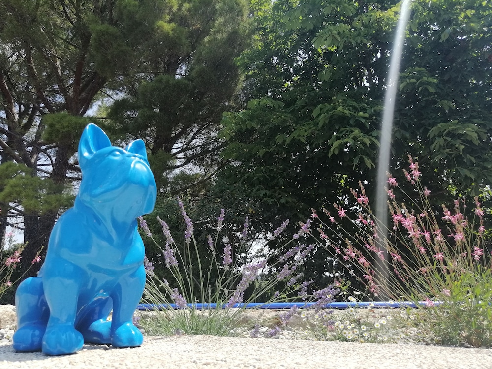 Photo 21
