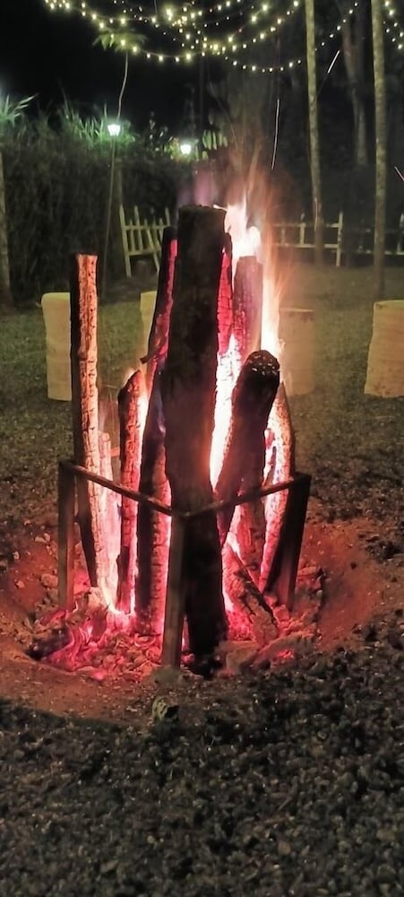 Photo 33